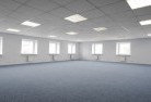 The Mineskylights-3.jpg; ?>